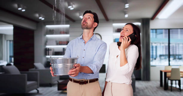 Best Sewage cleanup and water damage restoration  in Johnstown, CO